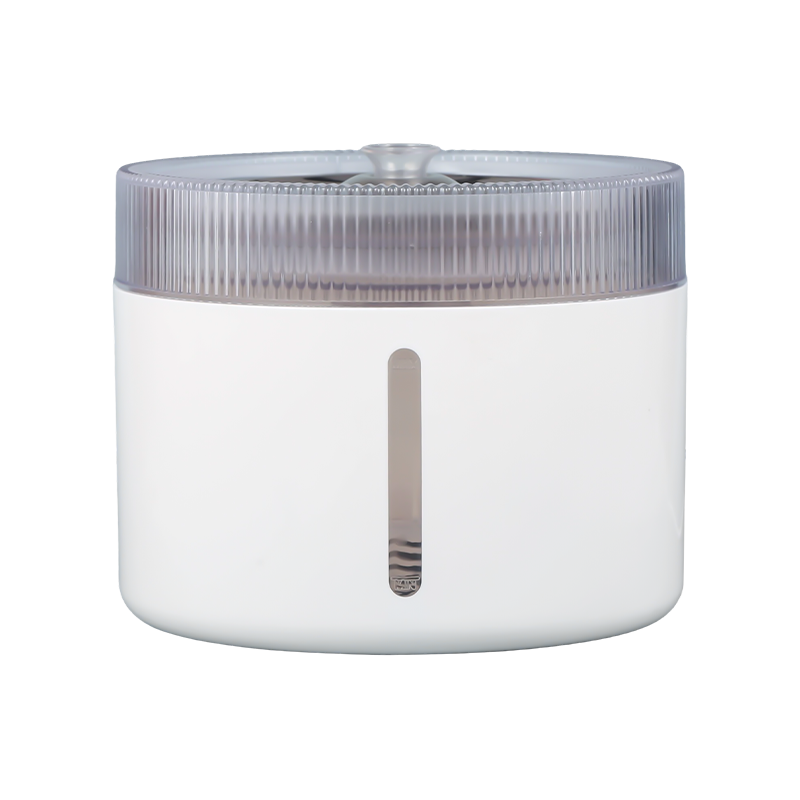 DUXERIT nocte lux Visual Lorem Smart Pet aqua fontis